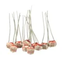 5mm LDR (Pack of 10)